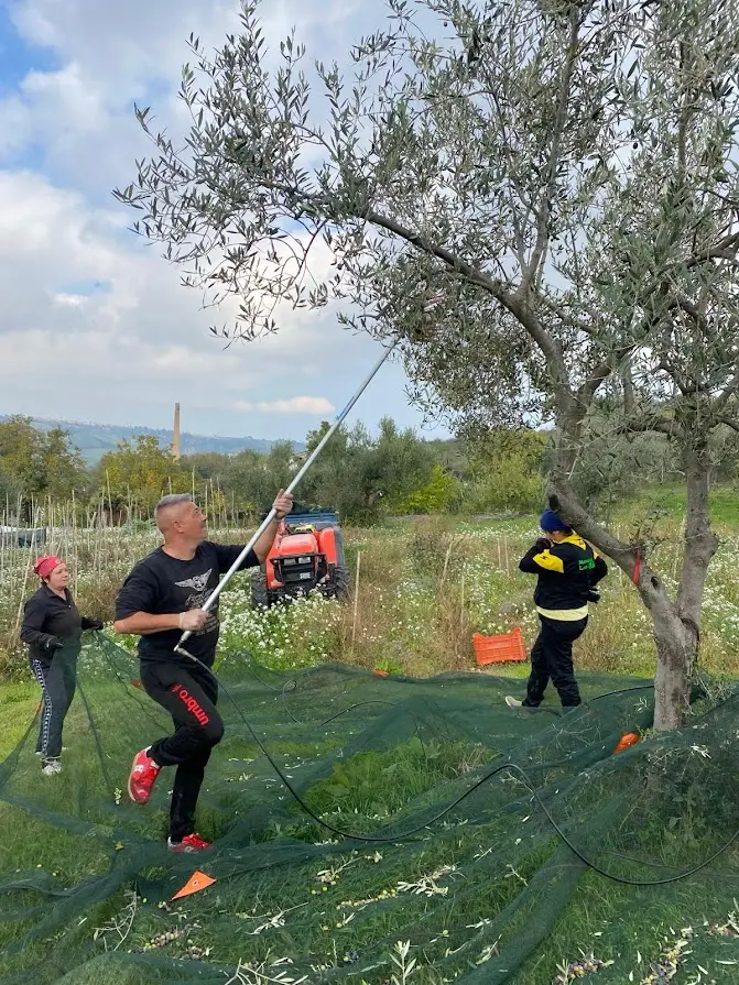 2776d1bd-a154-4fee-bb9d-293770f132d4